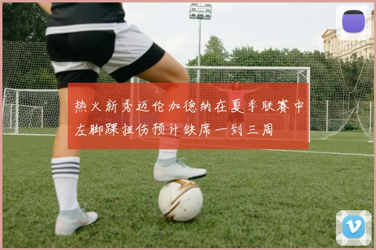 热火新秀迈伦加德纳在夏季联赛中左脚踝扭伤预计缺席一到三周